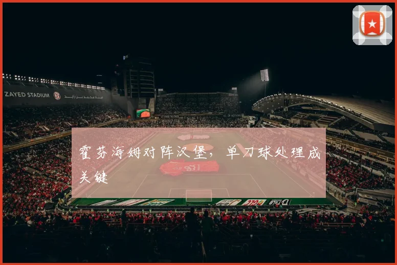 霍芬海姆对阵汉堡，单刀球处理成关键