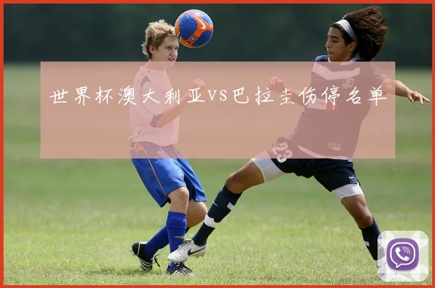 世界杯澳大利亚vs巴拉圭伤停名单