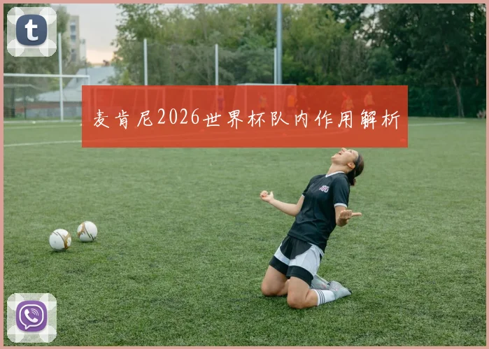 麦肯尼2026世界杯队内作用解析