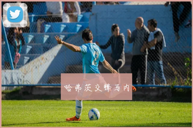 哈弗茨交锋马内