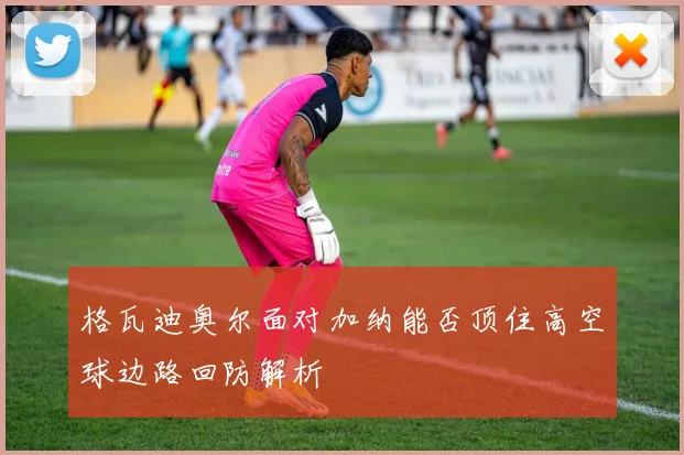 格瓦迪奥尔面对加纳能否顶住高空球边路回防解析
