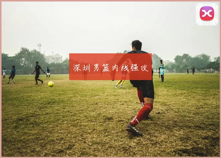 深圳男篮内线强攻
