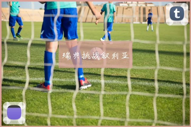 瑞典挑战叙利亚