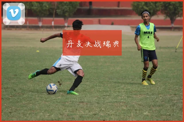 丹麦决战瑞典