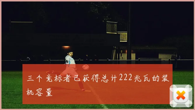 三个竞标者已获得总计222兆瓦的装机容量