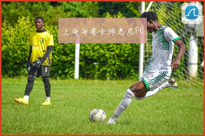 上海海港会师悉尼FC
