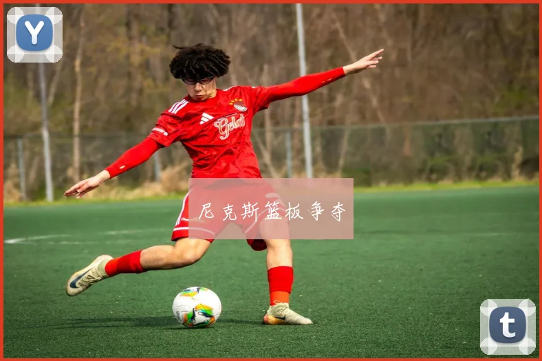 尼克斯篮板争夺