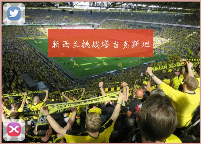 新西兰挑战塔吉克斯坦