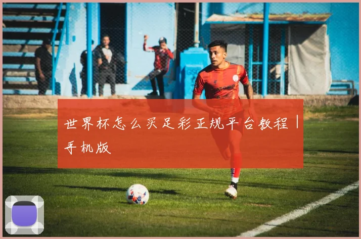 世界杯怎么买足彩正规平台教程｜手机版