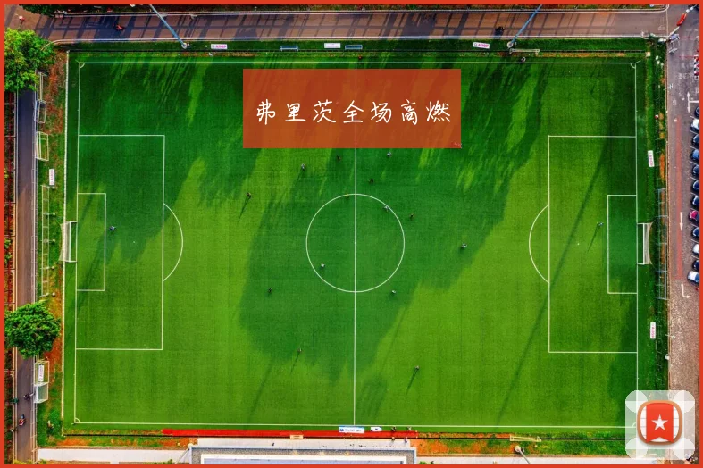 弗里茨全场高燃