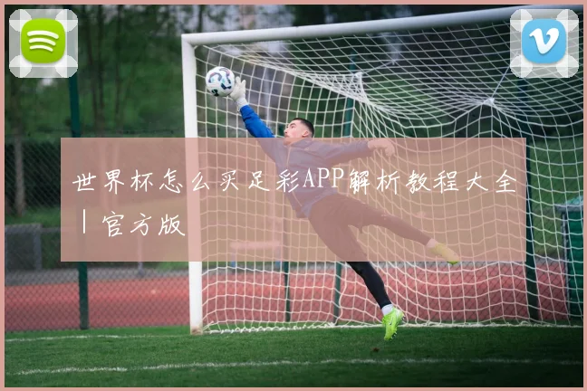 世界杯怎么买足彩APP解析教程大全｜官方版