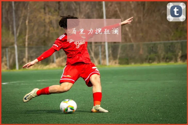 马里力挽狂澜