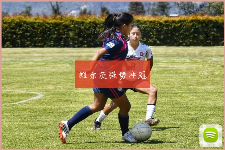 维尔茨强势冲冠