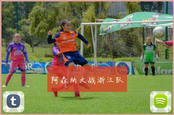 阿森纳大战浙江队