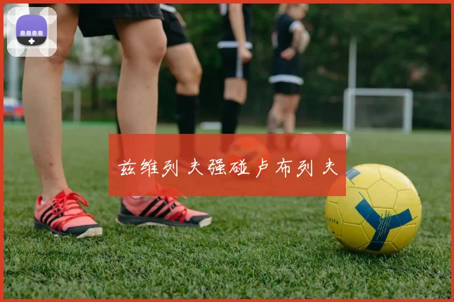 兹维列夫强碰卢布列夫