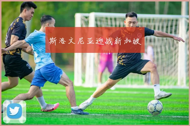 斯洛文尼亚迎战新加坡