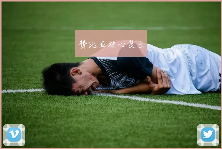 赞比亚核心复出