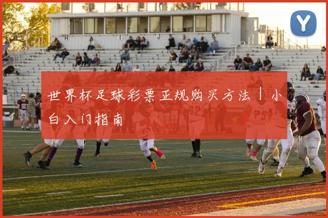 世界杯足球彩票正规购买方法｜小白入门指南