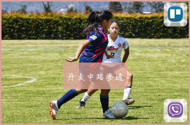 丹麦中路渗透