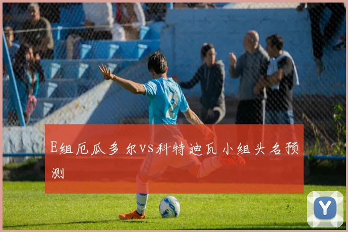 E组厄瓜多尔vs科特迪瓦小组头名预测