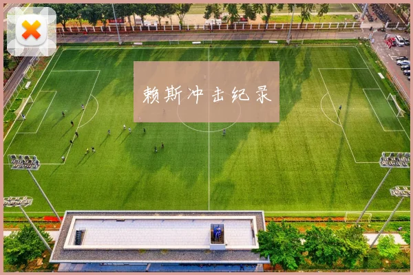 赖斯冲击纪录
