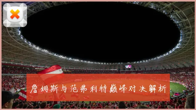 詹姆斯与范弗利特巅峰对决解析