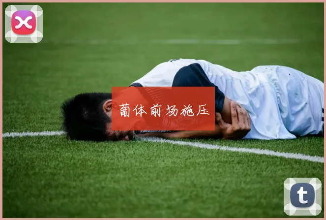 葡体前场施压