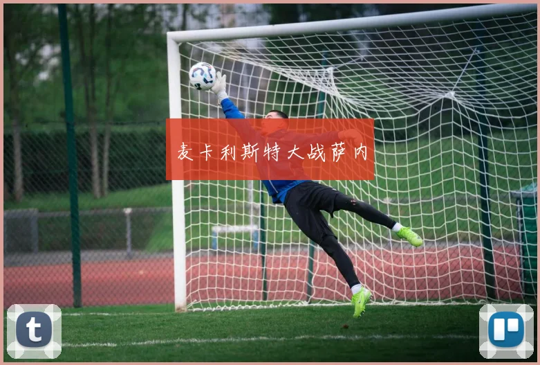 麦卡利斯特大战萨内