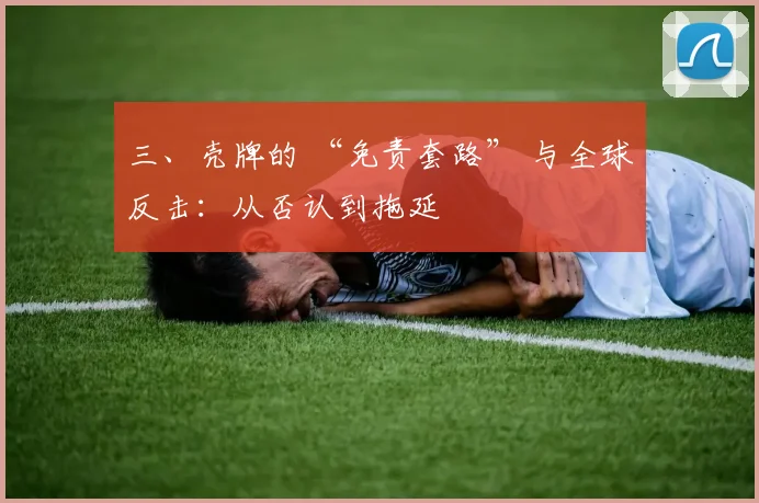 三、壳牌的 “免责套路” 与全球反击：从否认到拖延