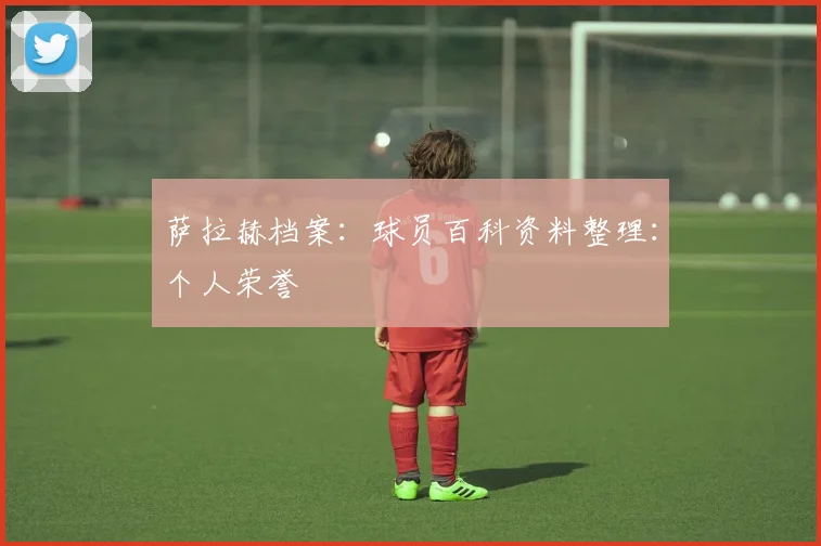 萨拉赫档案：球员百科资料整理：个人荣誉