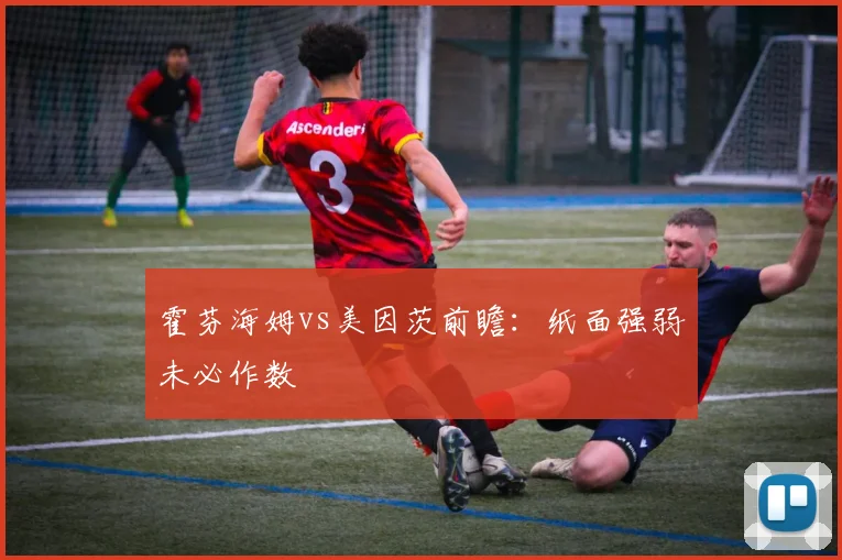 霍芬海姆vs美因茨前瞻：纸面强弱未必作数