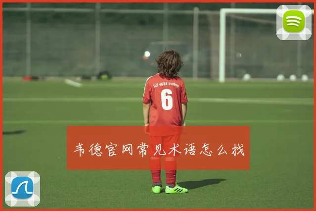 韦德官网常见术语怎么找